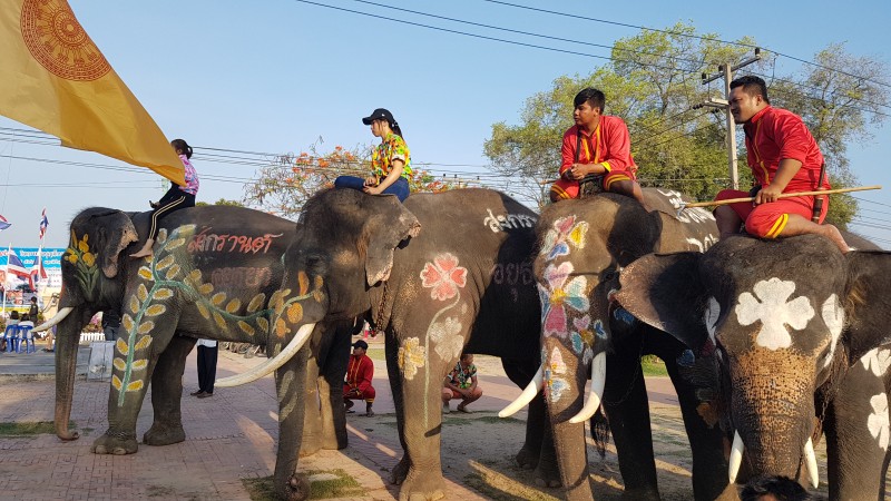 ยิ่งใหญ่อลังการงานช้าง!!! พ่อเมืองกรุงเก่านำช้างแสนรู้ร่วมตักบาตรวันสงกรานต์
