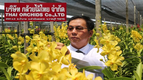 ผู้บริหารฟาร์มกล้วยไม้ไทย ส่งเสริมการปลูกเลี้ยงดอกกล้วยไม้สร้างรายได้ให้เกษตรกร พร้อมต่อยอดธุรกิจกล้วยไม้ไทย